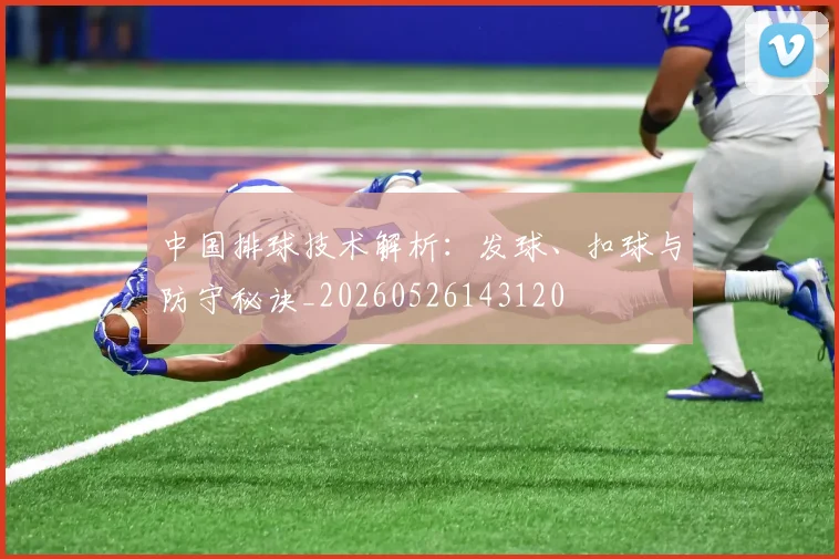 中国排球技术解析：发球、扣球与防守秘诀_20260526143120
